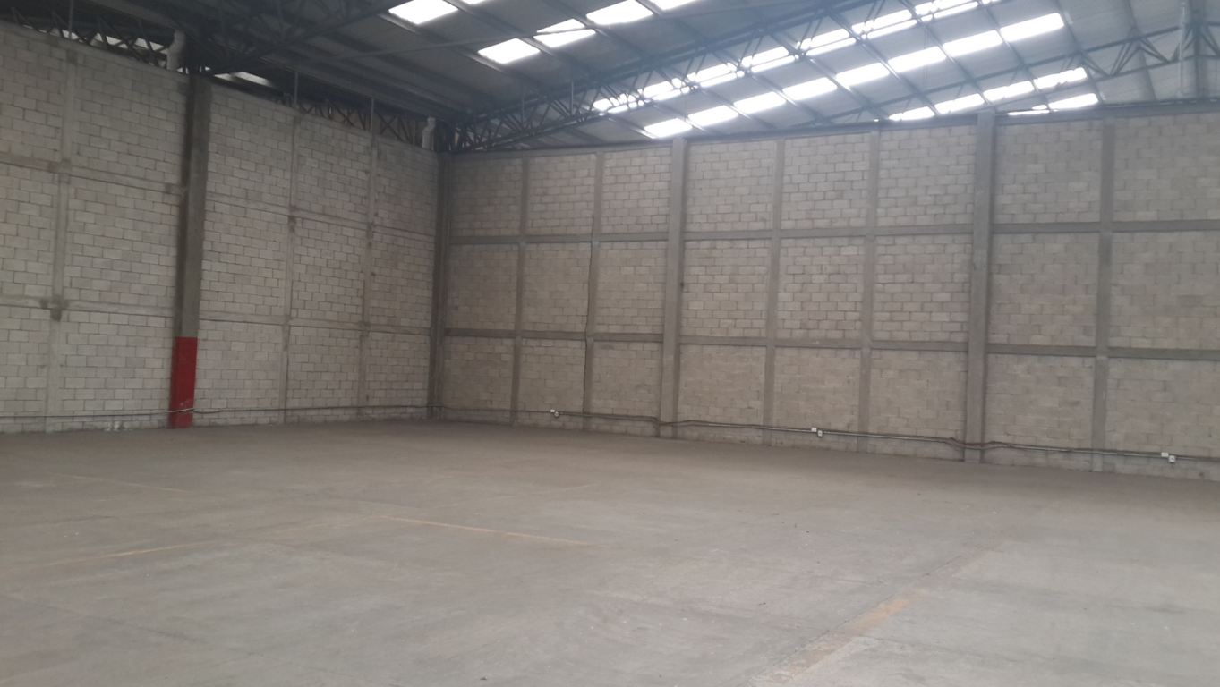 Descubre c�mo una bodega industrial puede contribuir a la sostenibilidad ambiental de tu empresa