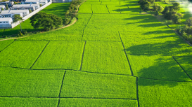 Rentar terrenos: consejos para mantener a tus inquilinos felices y satisfechos