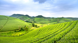 Vende tu terreno con �xito: estrategias efectivas para la comercializaci�n