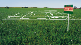 Rentar tu terreno: maximiza la ocupaci�n con estrategias efectivas