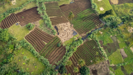 �Destaca entre la competencia en el mercado de arrendamiento con estrategias efectivas!