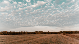 �Haz que tu terreno sea la opci�n m�s atractiva del mercado con estrategias innovadoras y creativas que lo destaquen! 