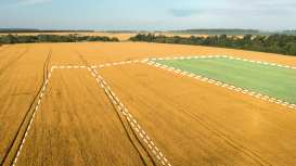 Descubre c�mo resaltar las cualidades �nicas de tu terreno para atraer a los compradores interesados de forma efectiva