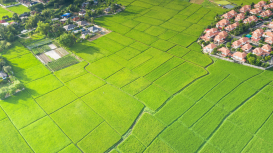 Rentar tu terreno: estrategias para maximizar tus ganancias