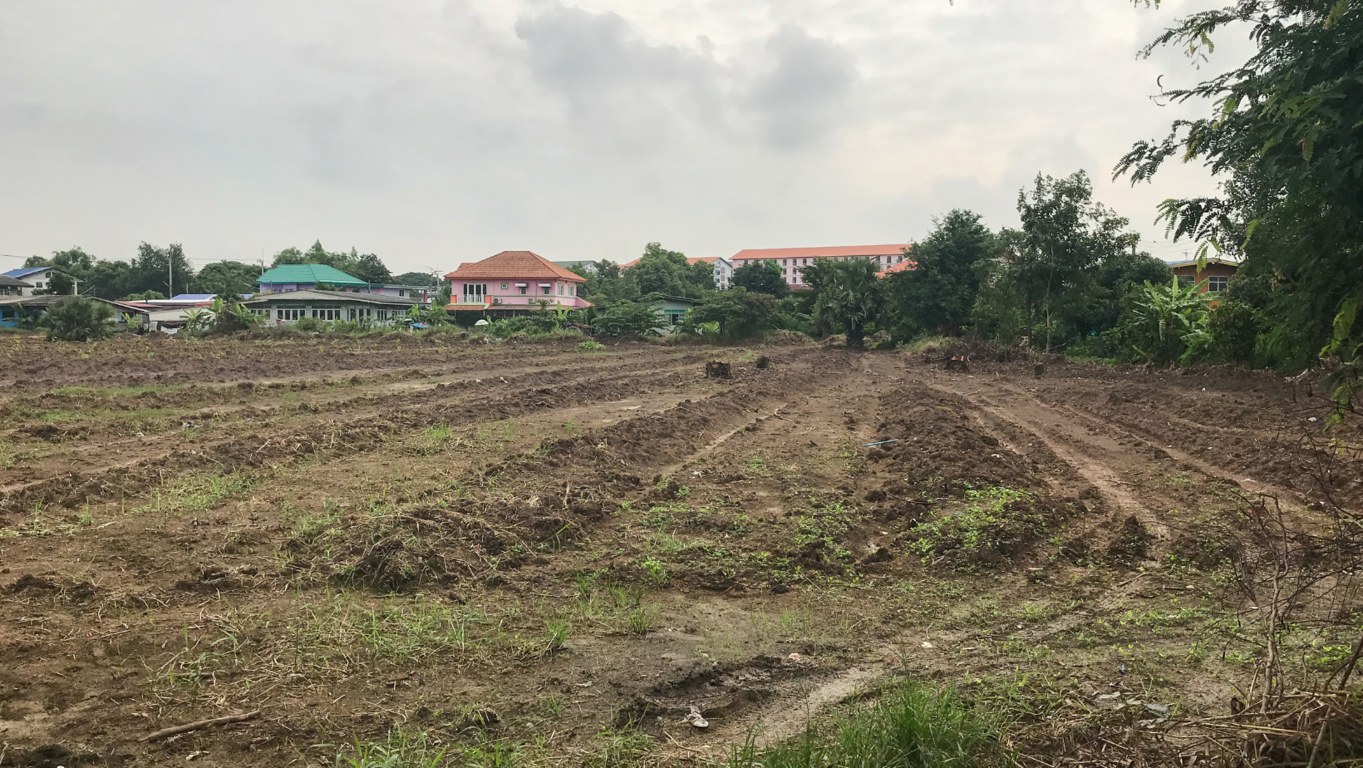 �Por qu� es crucial resaltar las caracter�sticas �nicas y potencial de tu terreno al promocionarlo?