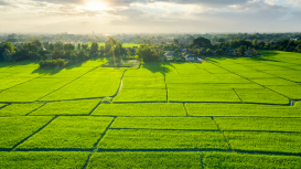 Los beneficios de invertir en la promoci�n de venta de terrenos para asegurar una transacci�n efectiva y satisfactoria tanto para compradores como vendedores 