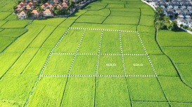 Los errores comunes al rentar un terreno y c�mo evitarlos para asegurar la satisfacci�n de los inquilinos y la rentabilidad de tu propiedad al m�ximo 