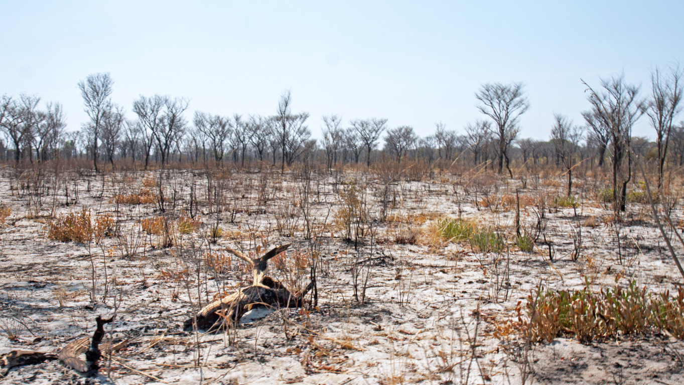 Los elementos clave de un contrato de arrendamiento de terrenos