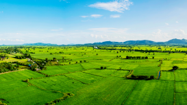 Rentar terrenos: claves para un contrato de arrendamiento claro, detallado y seguro