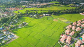 Vende tu terreno con �xito: estrategias efectivas para la comercializaci�n de terrenos