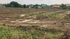 C�mo destacar las ventajas de tu terreno para atraer a los compradores