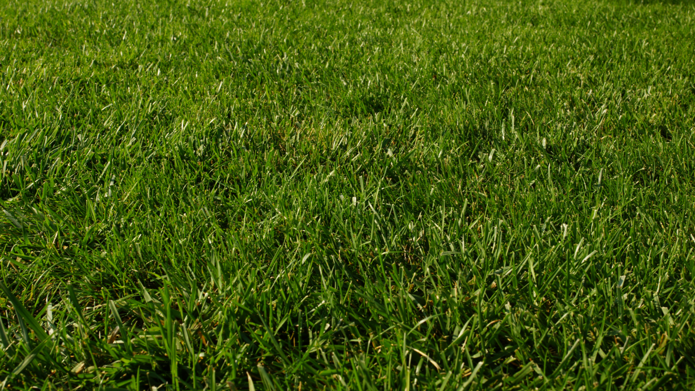 Ventajas de la Realizaci�n de Estudios de Mercado y Benchmarking Competitivo en la Venta de Propiedades con la Asistencia de un Agente