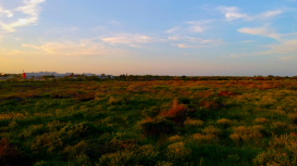 Prepara tu terreno para el arrendamiento: aspectos clave a considerar para rentar tu propiedad