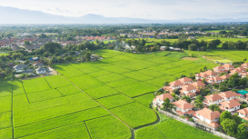 Rentar terrenos: c�mo fijar el precio de arrendamiento adecuado