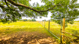 Promociona la venta de tu terreno: atrae a m�s compradores con estas t�cnicas